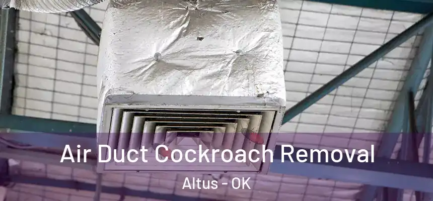 Air Duct Cockroach Removal Altus - OK