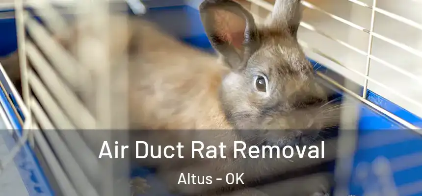 Air Duct Rat Removal Altus - OK