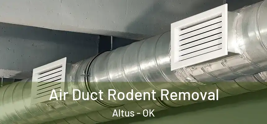  Air Duct Rodent Removal Altus - OK