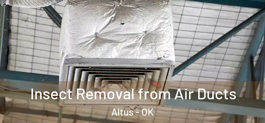  Insect Removal from Air Ducts Altus - OK